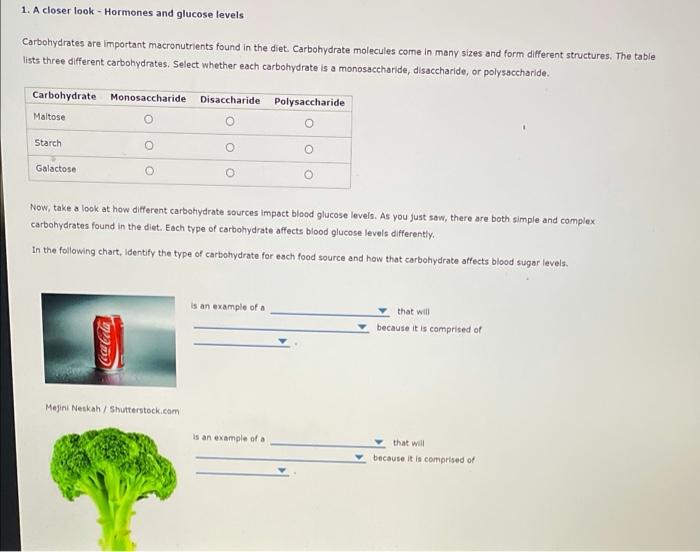 A closer look hormones and glucose levels