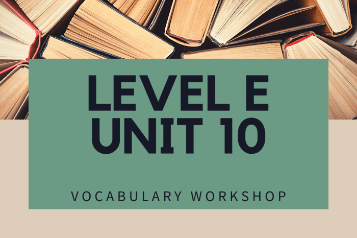 Vocabulary workshop level e unit 10