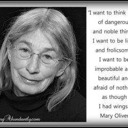 Mary oliver the spirit likes to dress up