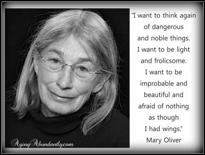 Mary oliver the spirit likes to dress up