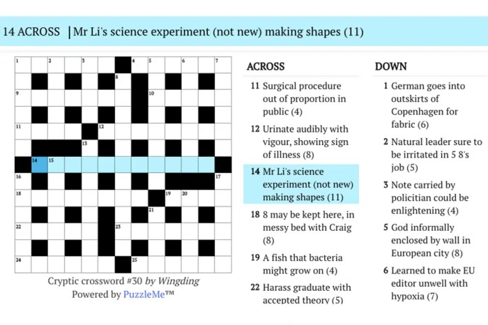 It may be inert crossword clue