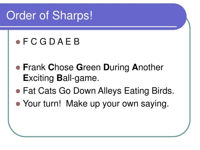 قط cat bird eats طائر