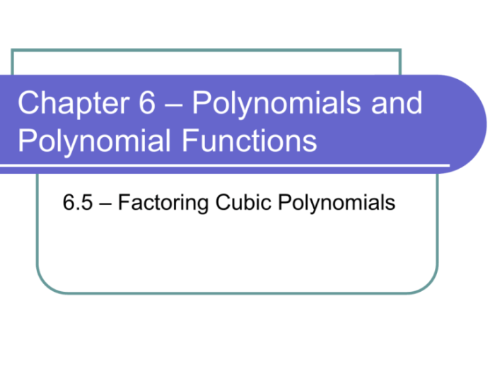 Chapter 5 polynomials and polynomial functions