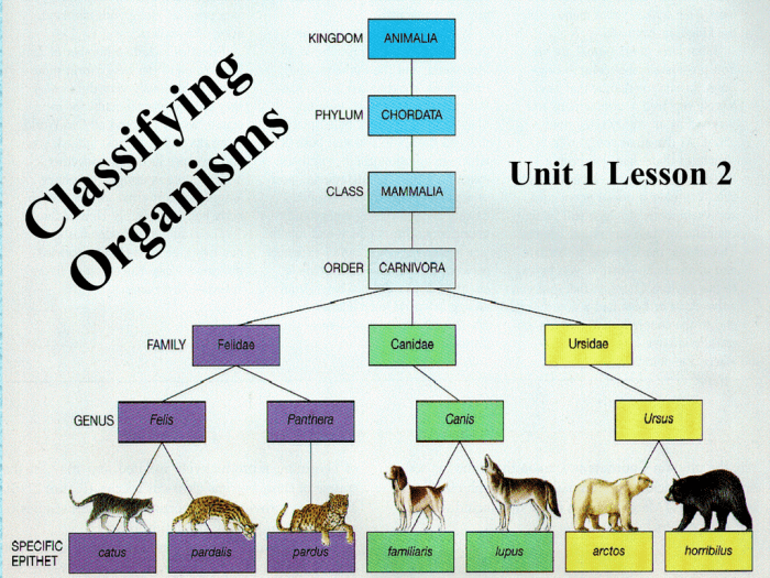 Classify 1 and 2 using all relationships that apply