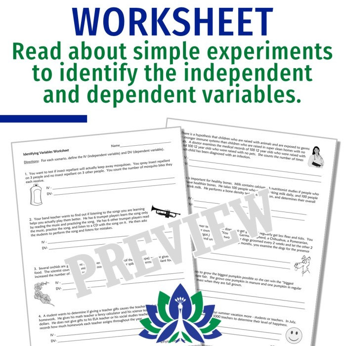 Flying colors science worksheet answers pdf