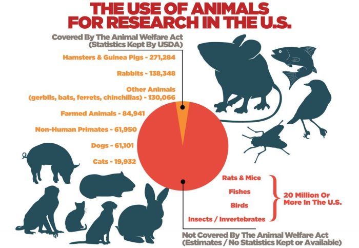 Animals should used research vets