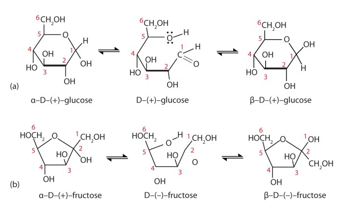 Epimers ribose