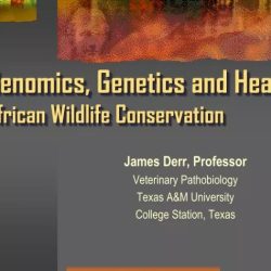 Zoo genetics key aspects of conservation biology