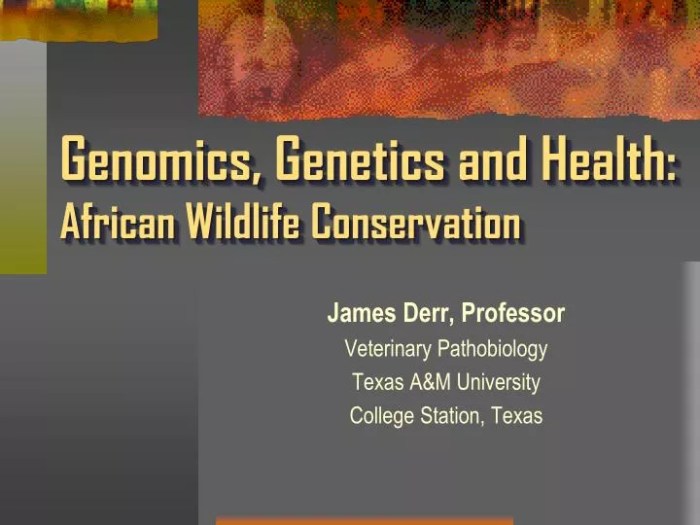 Zoo genetics key aspects of conservation biology