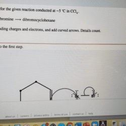 Show reaction mechanism following conducted cyclohexene bromine draw arrows curved electrons charges count details yields include enantiomer chirality any center