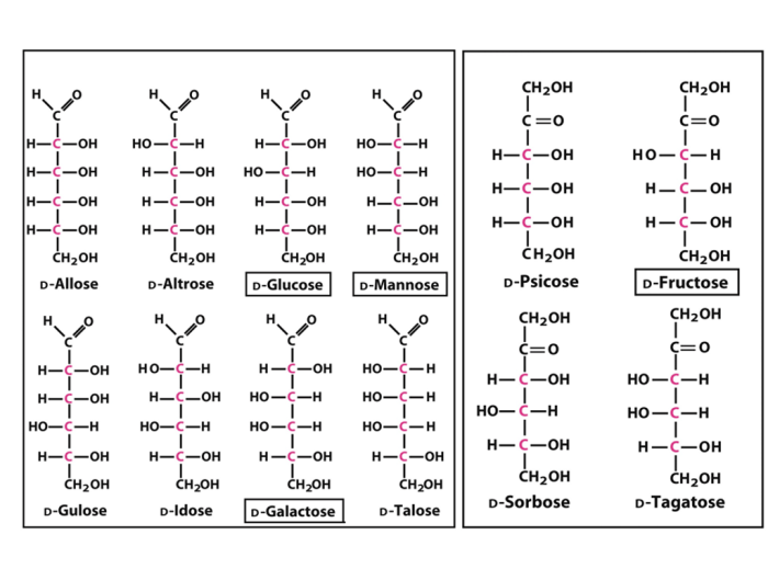 Identify the epimer of d-allose at c-2 c-3 and c-4