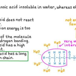 Butanoic methanol ester